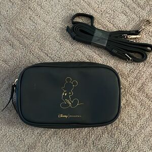 Disney/Pandora Purse